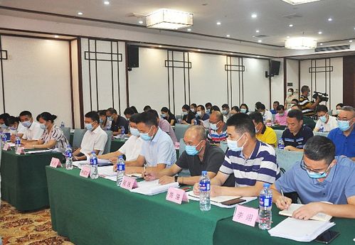 湛江召開全市社保工作會議，聚焦數字化轉型與軟件開發應用